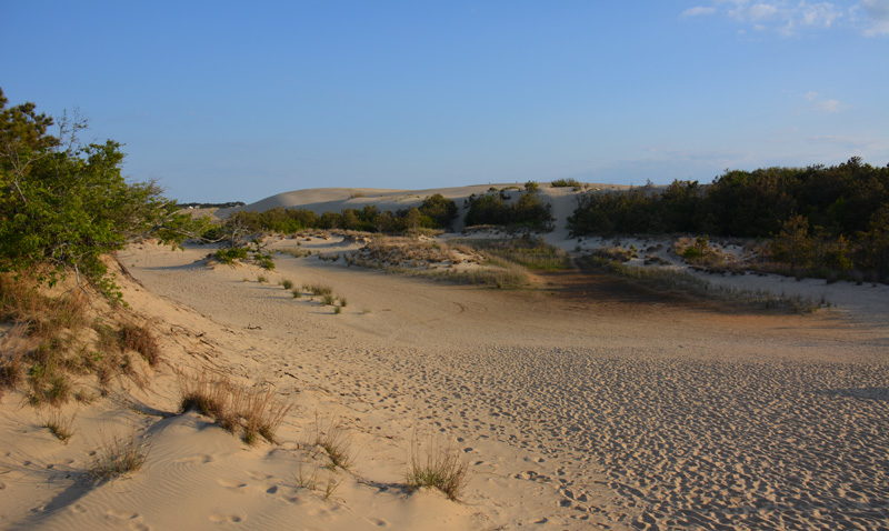 Jockey's Ridge State Park - KillDevilHills.com