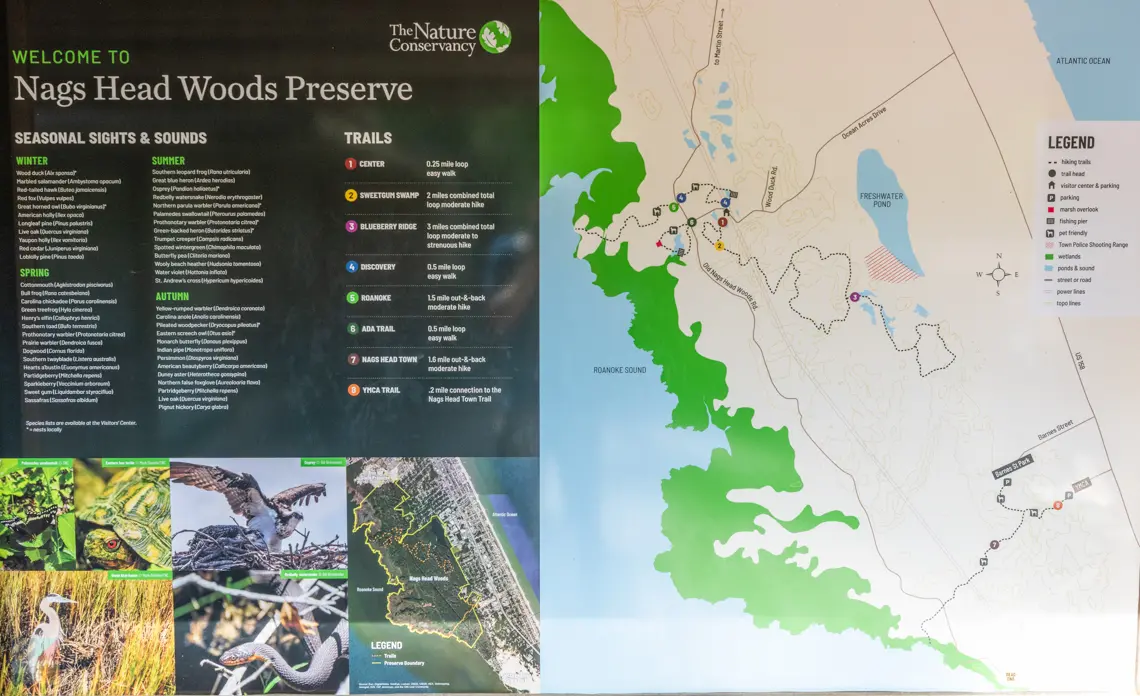 Nags Head Woods Preserve